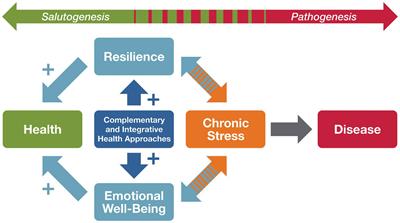 Promoting salutogenic pathways to health through complementary and integrative health approaches